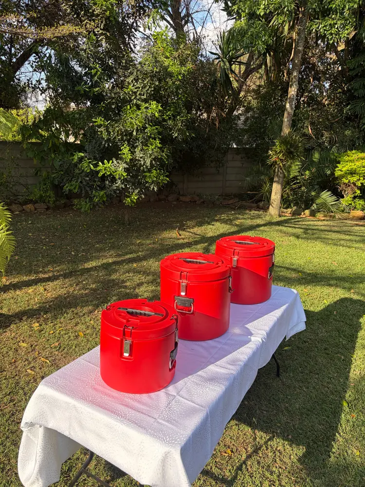 Three insulated food carriers