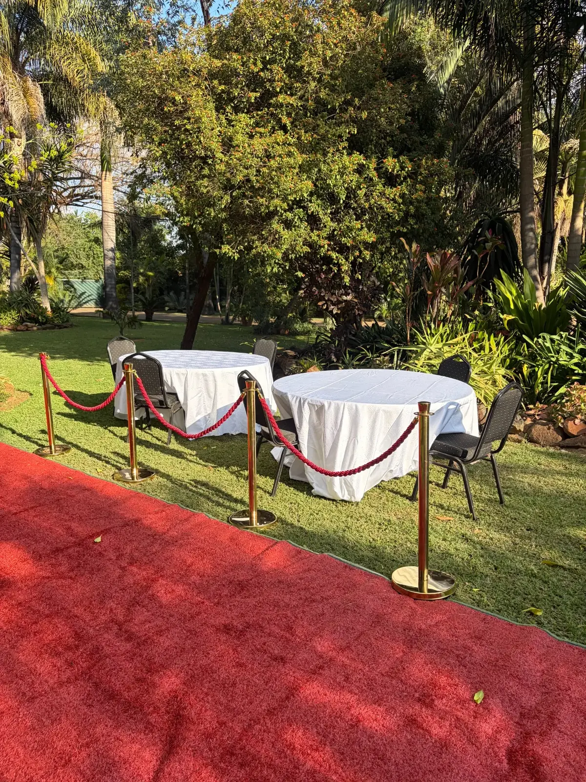 Round event tables with plain white linen and black chairs, without cutlery